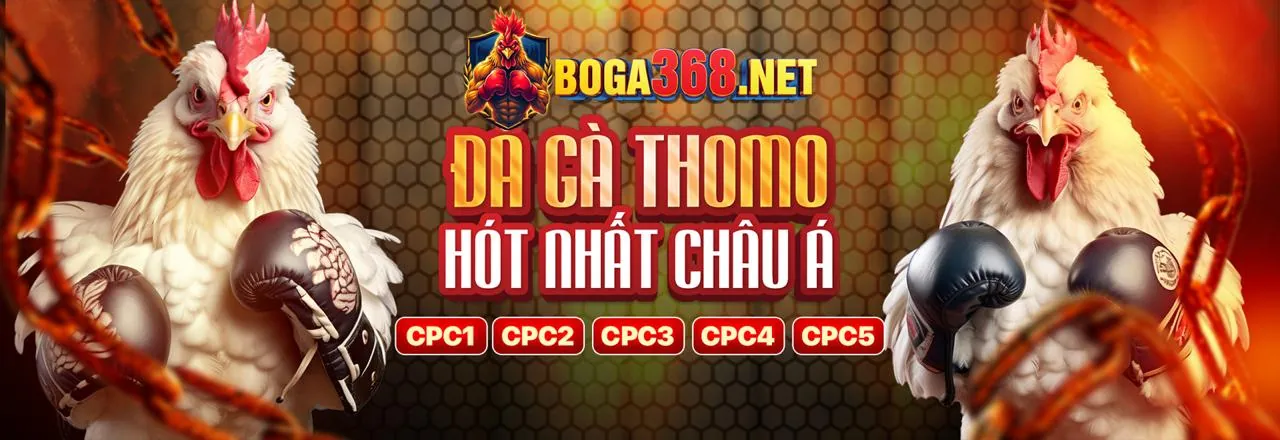 Chơi Trên Mọi Thiết Bị